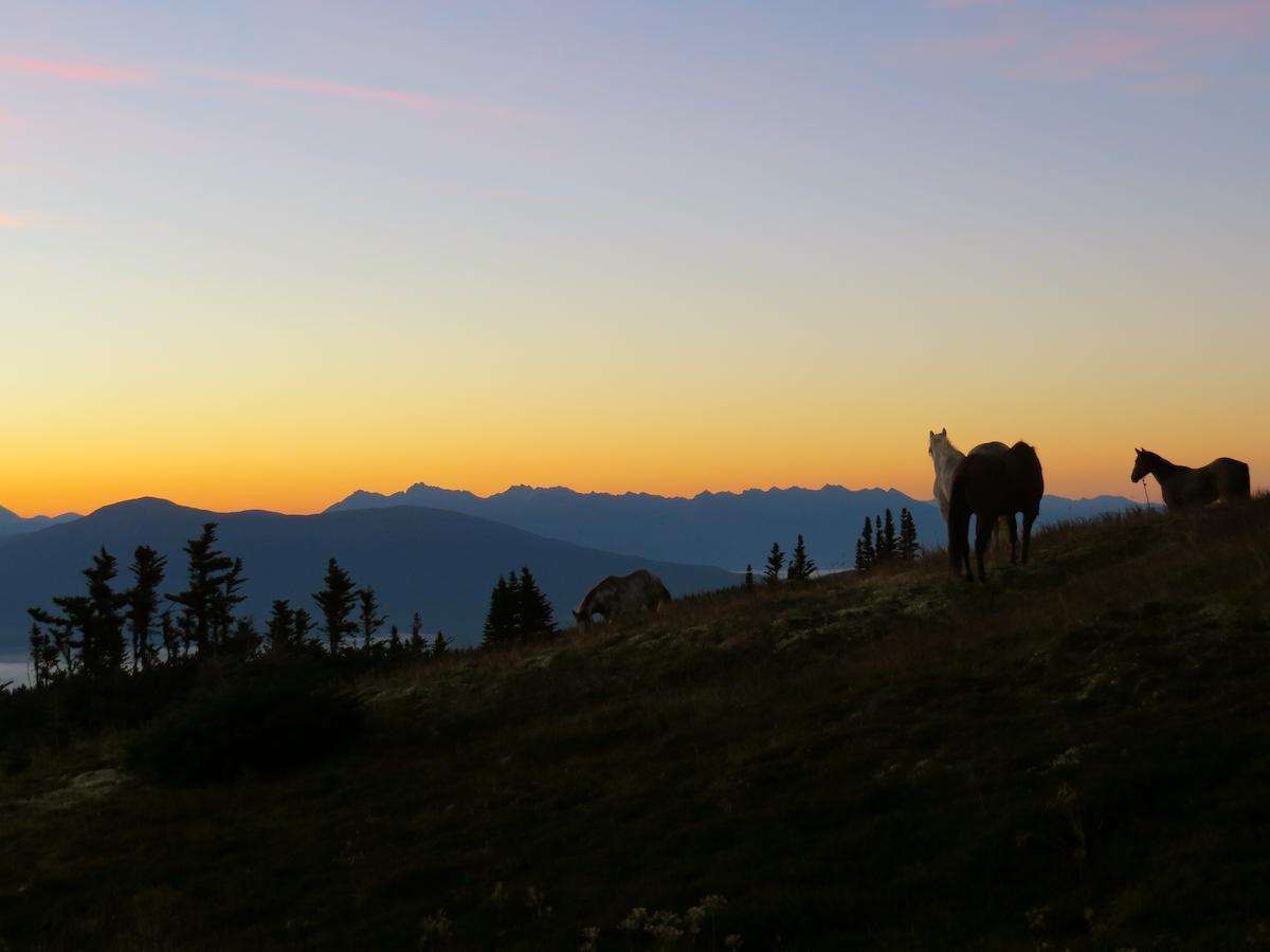Bear Claw Lodge Kispiox Dış mekan fotoğraf