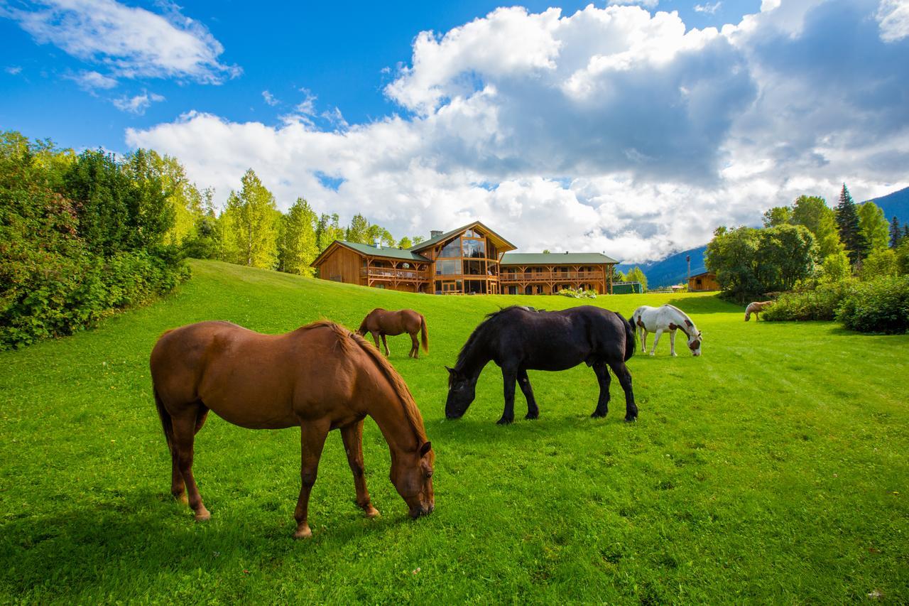 Bear Claw Lodge Kispiox Dış mekan fotoğraf