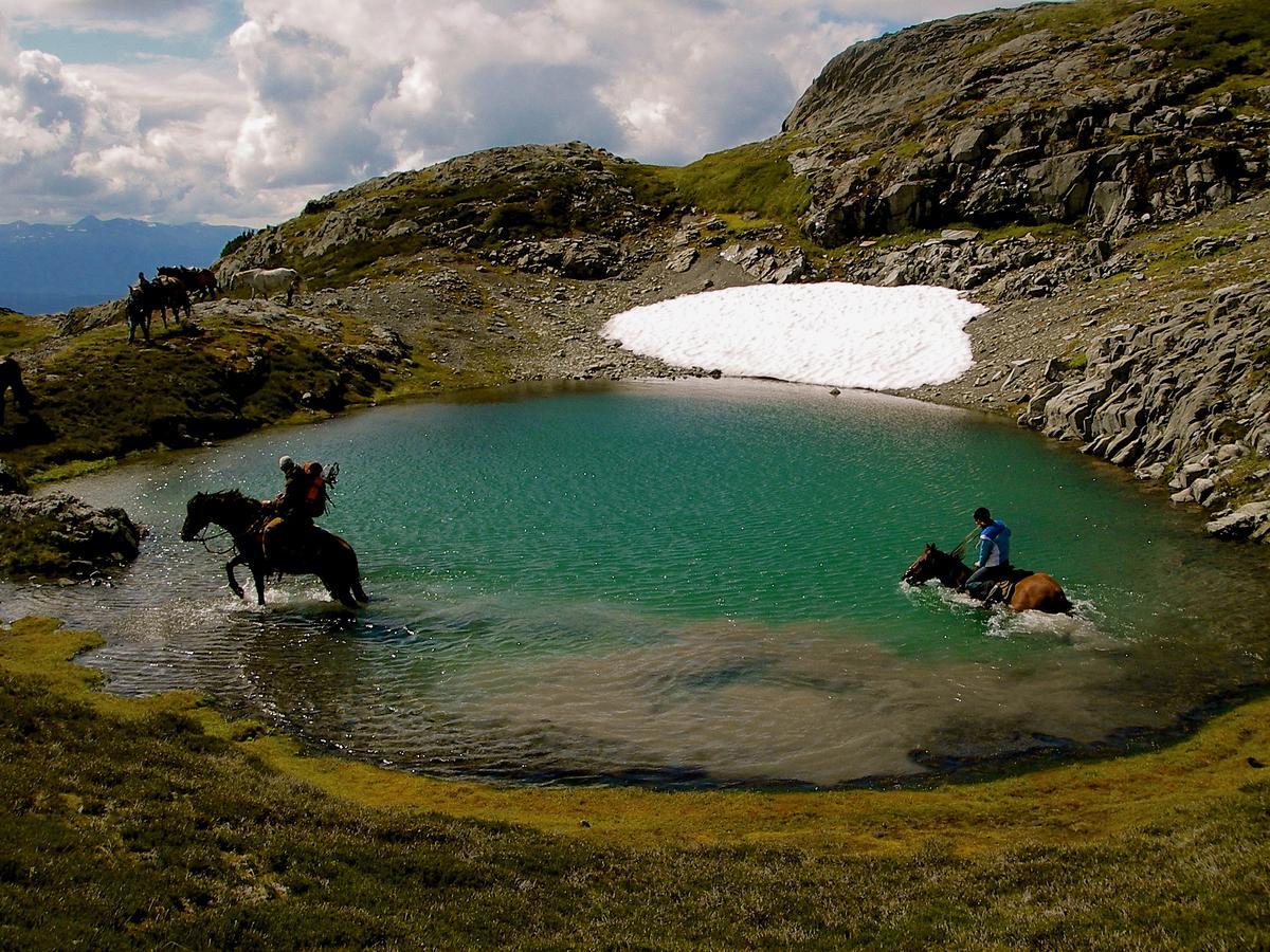 Bear Claw Lodge Kispiox Dış mekan fotoğraf