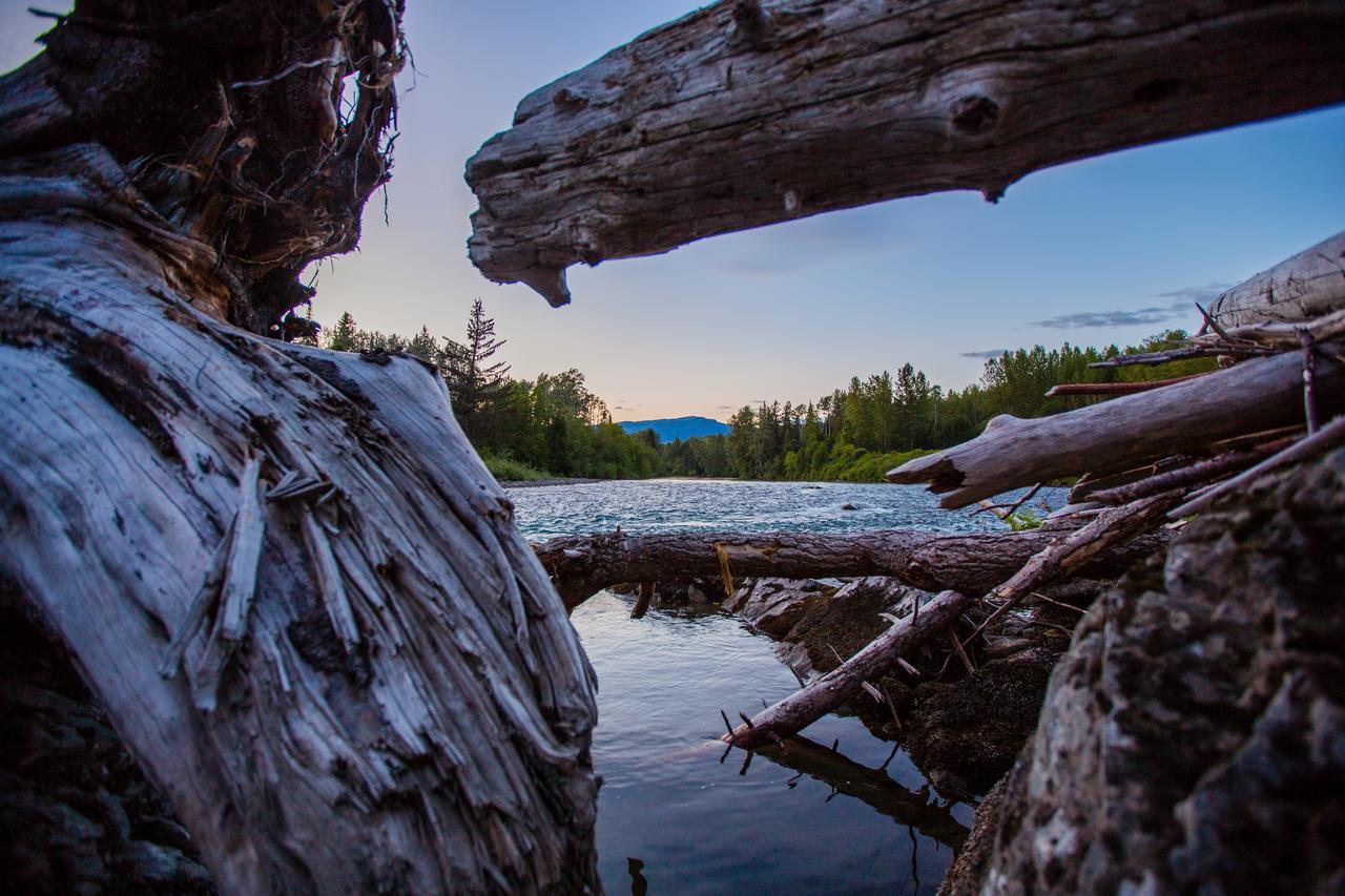 Bear Claw Lodge Kispiox Dış mekan fotoğraf