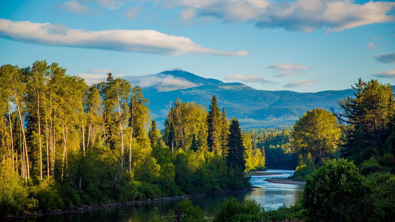 Bear Claw Lodge Kispiox Dış mekan fotoğraf