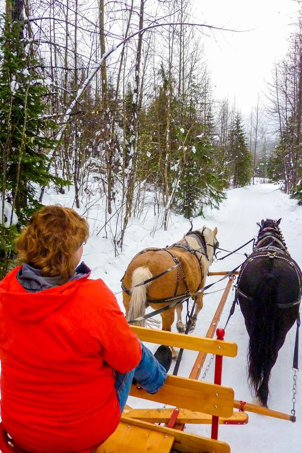 Bear Claw Lodge Kispiox Dış mekan fotoğraf