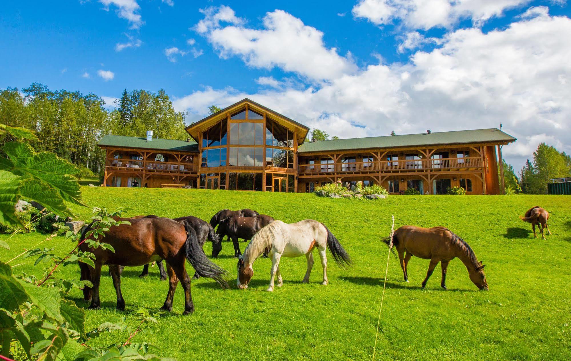 Bear Claw Lodge Kispiox Dış mekan fotoğraf